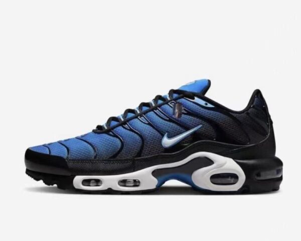 Nike Air Max TN Plus DM0032-402, Aquarius Blue